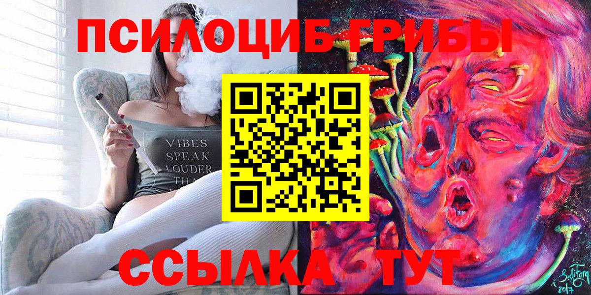 Псилоцибиновые грибы Psilocybine cubensis  Вход с VPN  Лабинск 