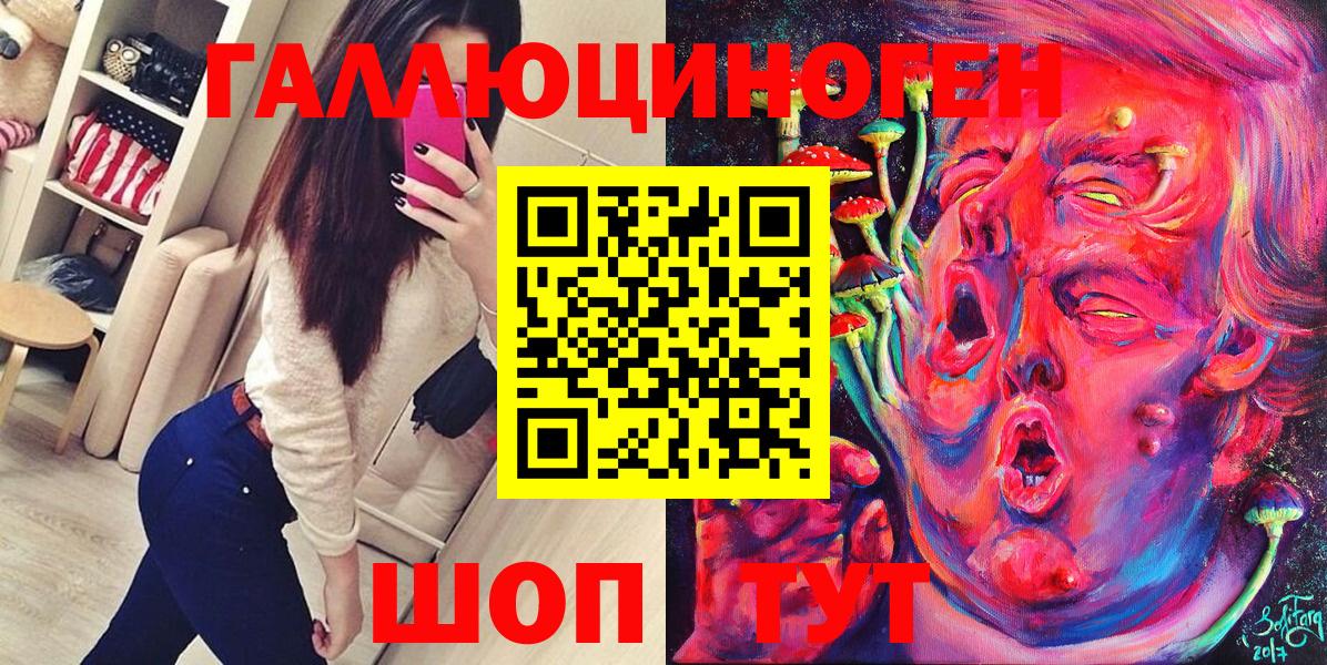Галлюциногенные грибы Psilocybe Лабинск